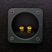 Load image into Gallery viewer, Dual Large Titanium Super Tweeter in Custom Built Angled Box 2000 Watts TW67 3&quot;
