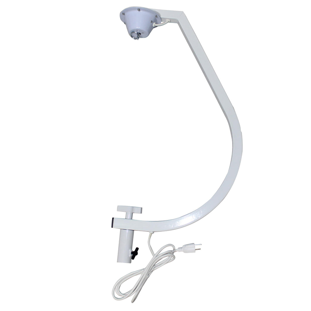 White 20