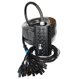 100 Ft Stage Box Snake 24 XLR-F Input 4 XLR-M Return